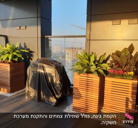 עציצים מעץ עם צמחים ירוקים ופרחים צבעוניים